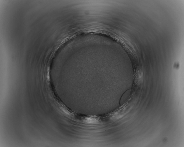 X0000098150232200804171621
