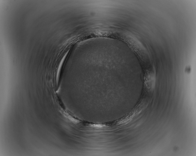 X0000098150233200804171620