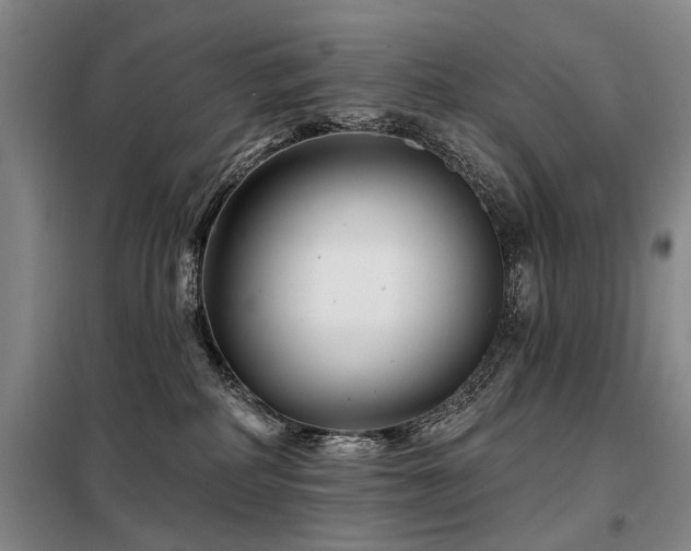 X0000098150234200804171620