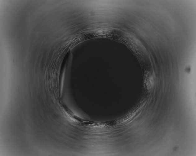 X0000098150235200804171620