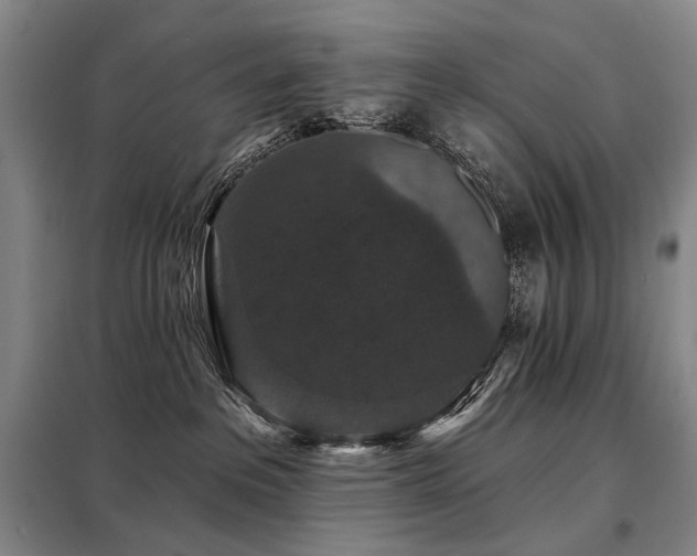 X0000098150237200804171620