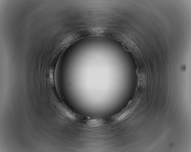X0000098150238200804171620