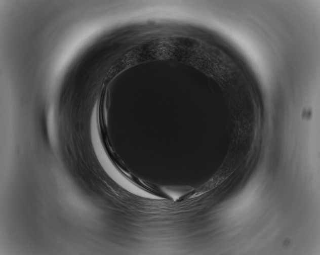 X0000098150239200804171620