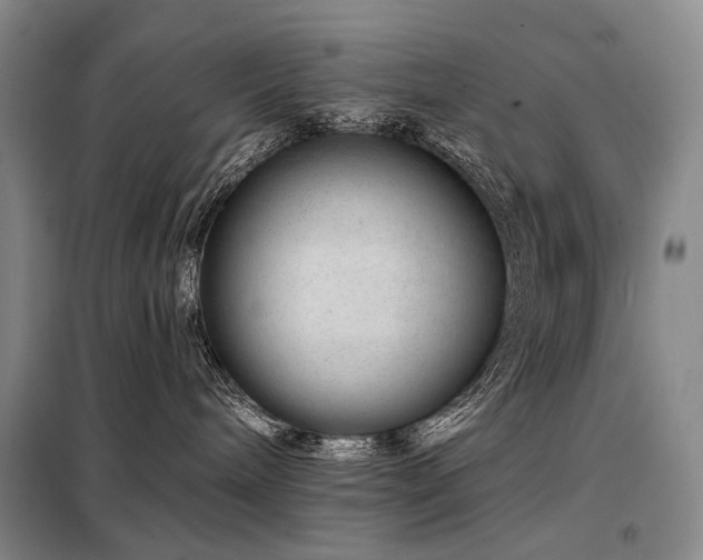 X0000098150240200804171620