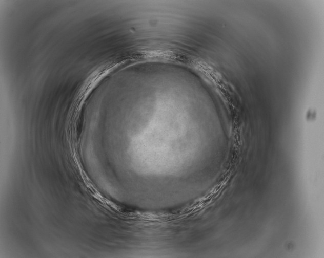 X0000098150241200804171620
