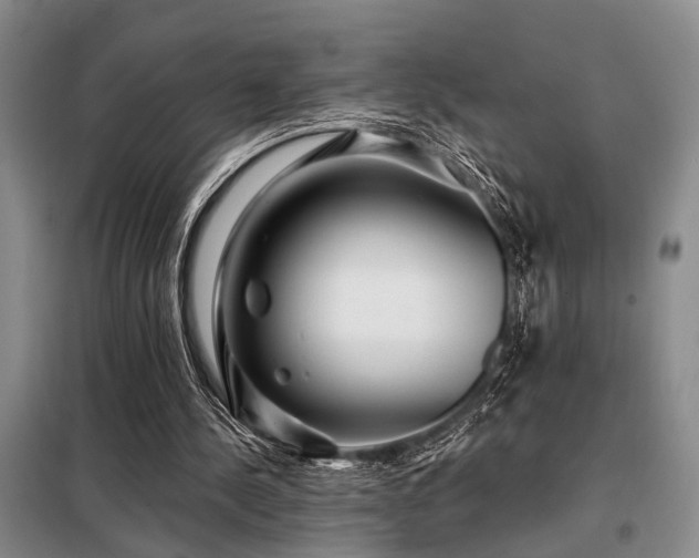 X0000098150244200804171620