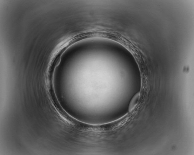 X0000098150245200804171620
