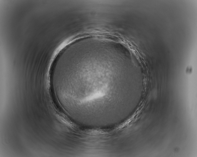 X0000098150246200804171620