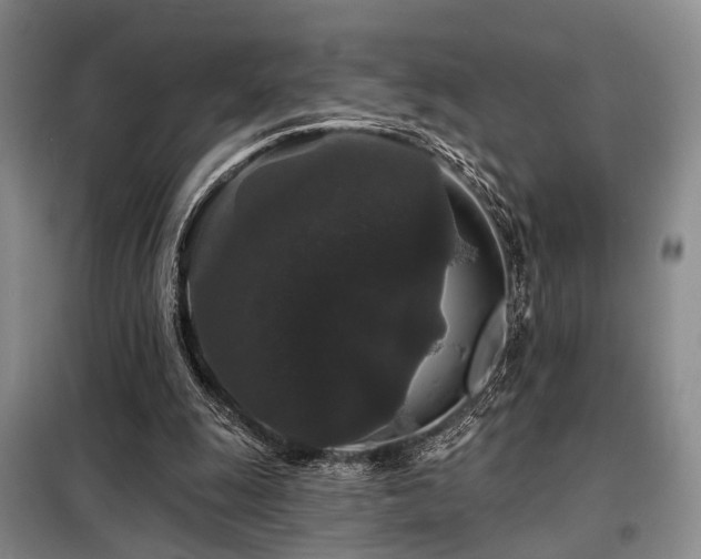 X0000098150247200804171620