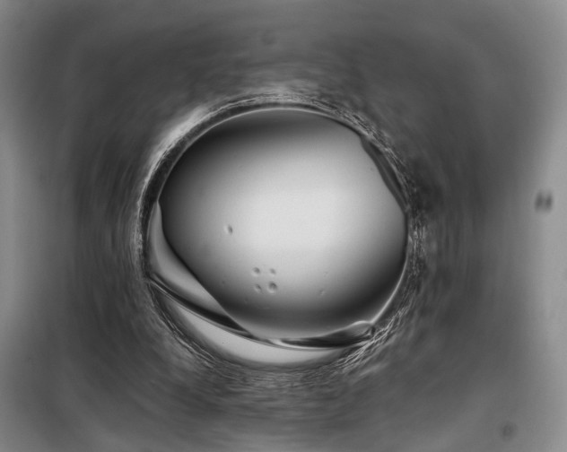 X0000098150248200804171620