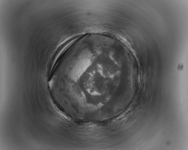 X0000098150249200804171620
