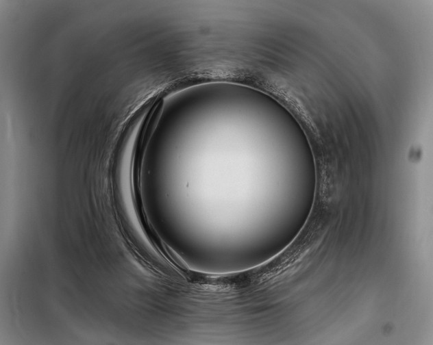 X0000098150251200804171620