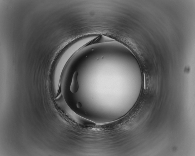 X0000098150252200804171620