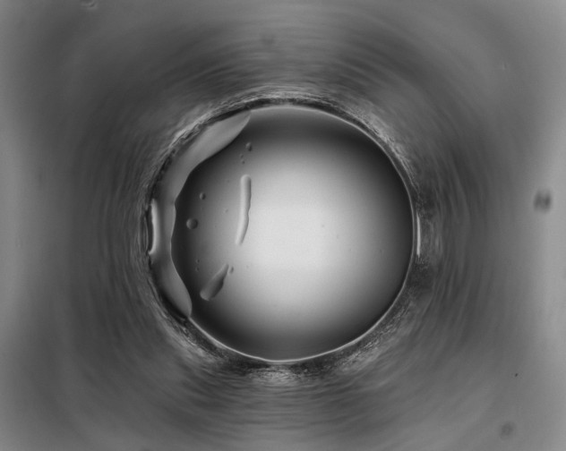 X0000098150253200804171620