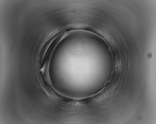 X0000098150254200804171620