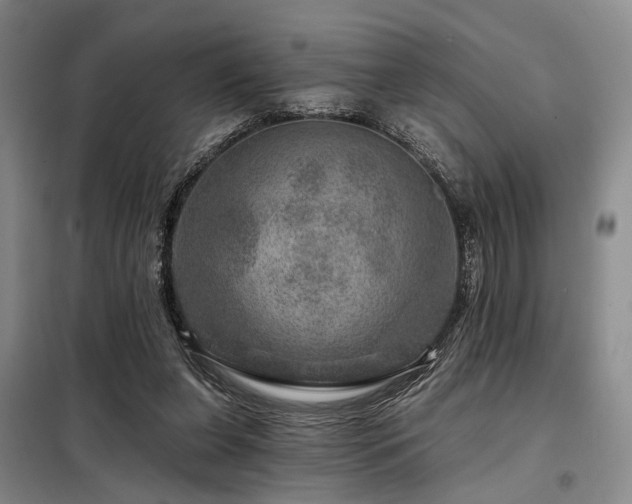 X0000098150255200804171620