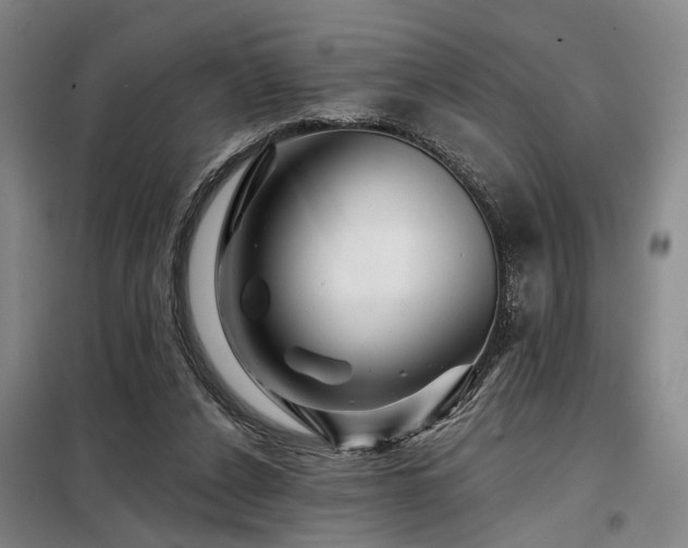 X0000098150256200804171620