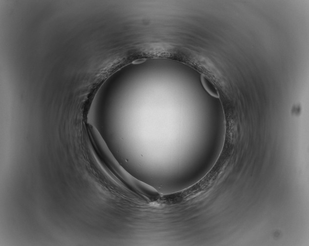 X0000098150259200804171620