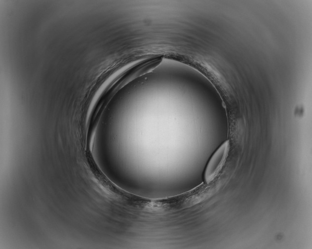 X0000098150261200804171620