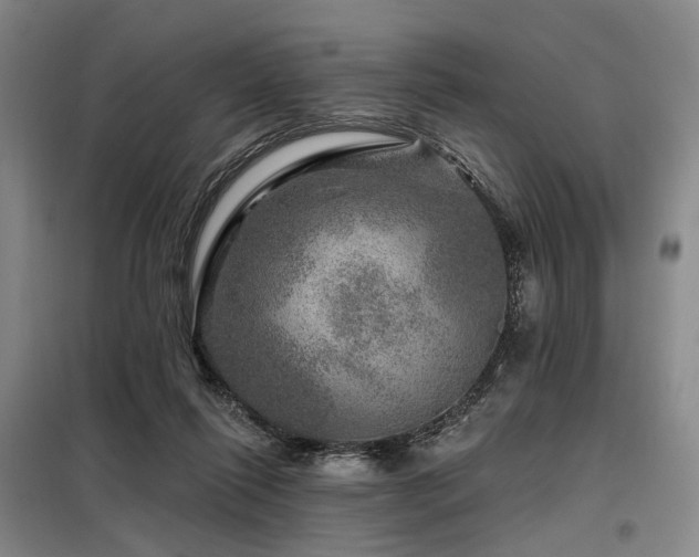 X0000098150262200804171620