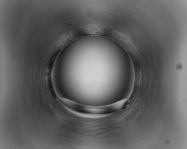 X0000098150263200804171620