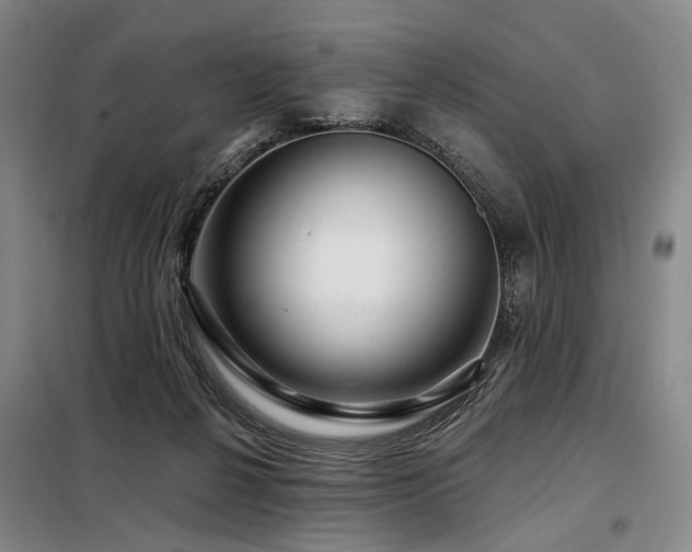 X0000098150264200804171620