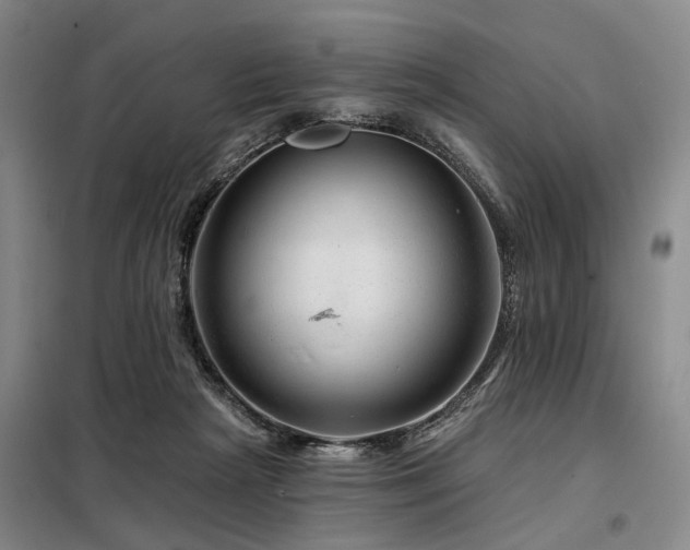 X0000098150265200804171620