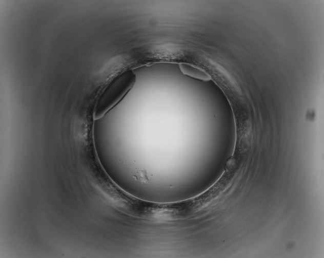 X0000098150268200804171620