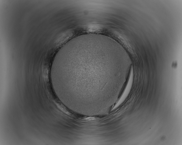 X0000098150269200804171620