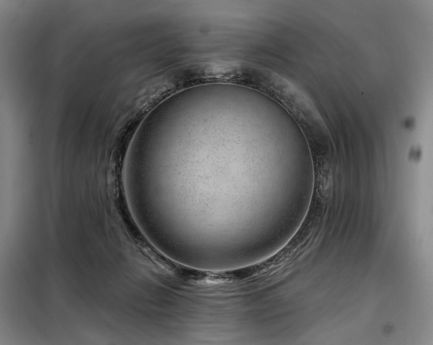 X0000098150270200804171620