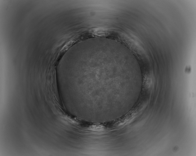 X0000098150271200804171620