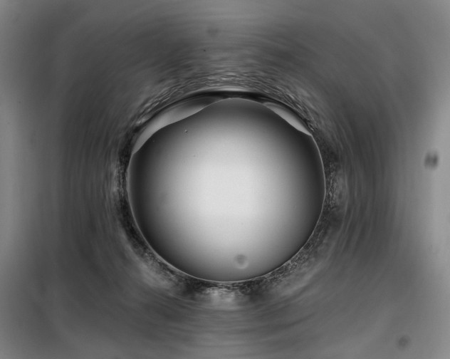 X0000098150272200804171620