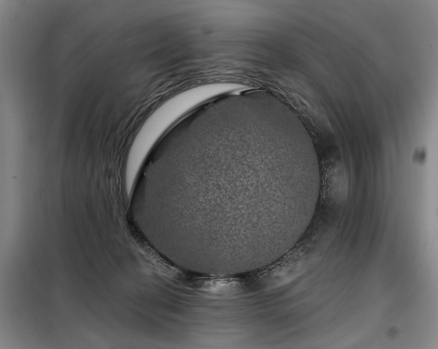 X0000098150274200804171620