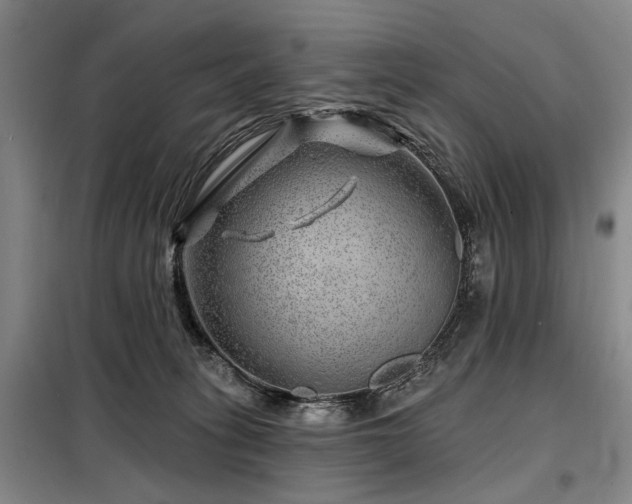 X0000098150275200804171620