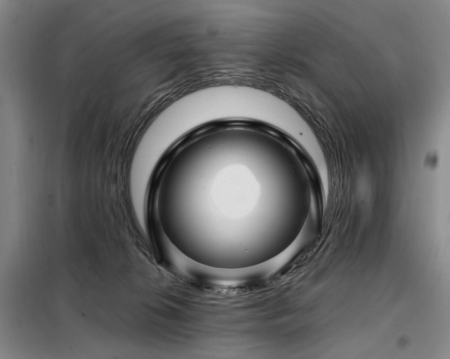 X0000098150276200804171620