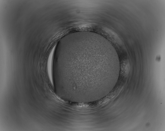X0000098150278200804171620
