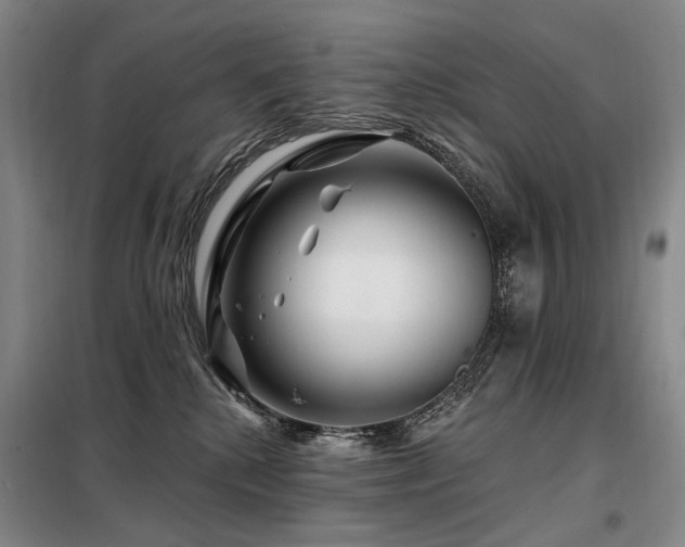 X0000098150280200804171620