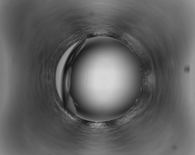 X0000098150281200804171620