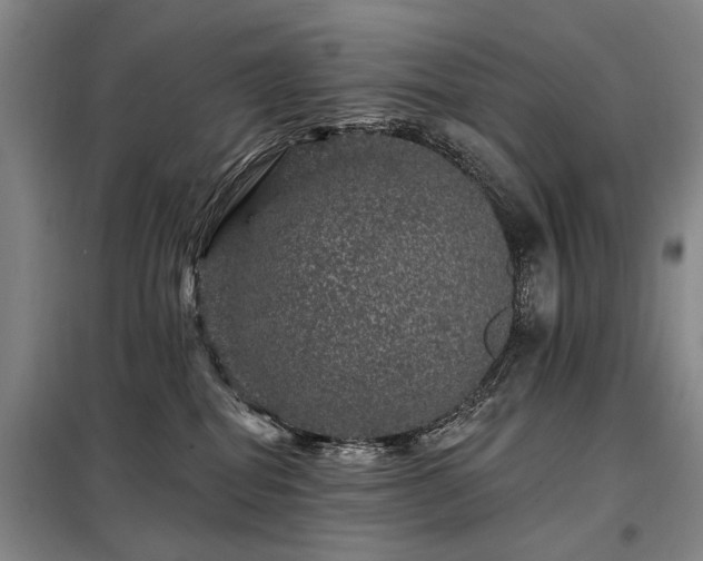 X0000098150282200804171620