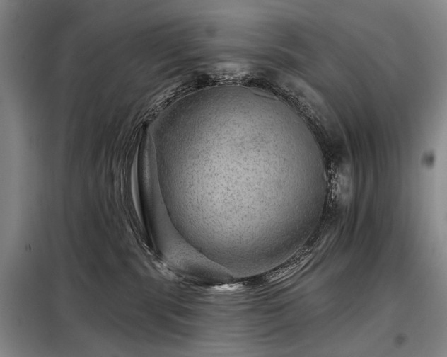 X0000098150283200804171620