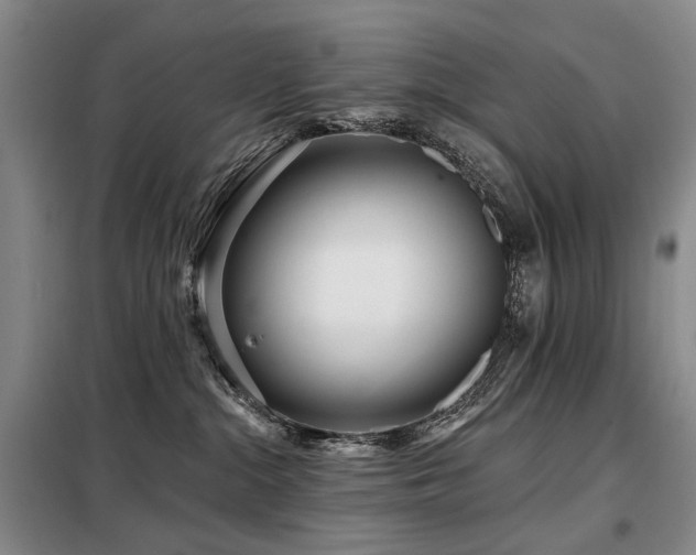 X0000098150284200804171620