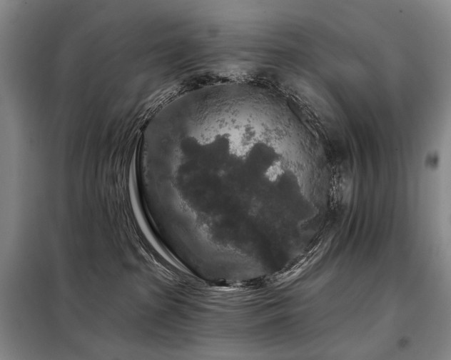X0000098150285200804171620