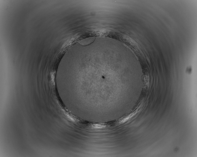 X0000098150286200804171620