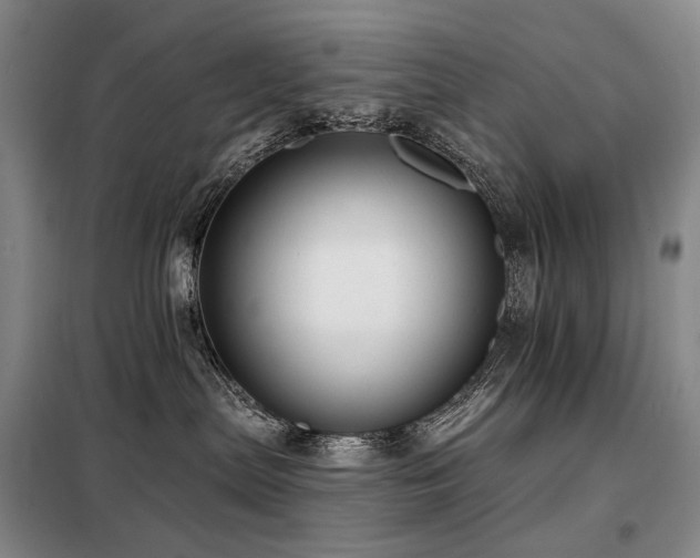 X0000098150287200804171620