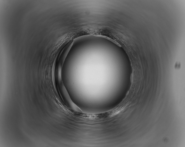 X0000098150288200804171620