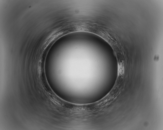 X0000098150291200804171620