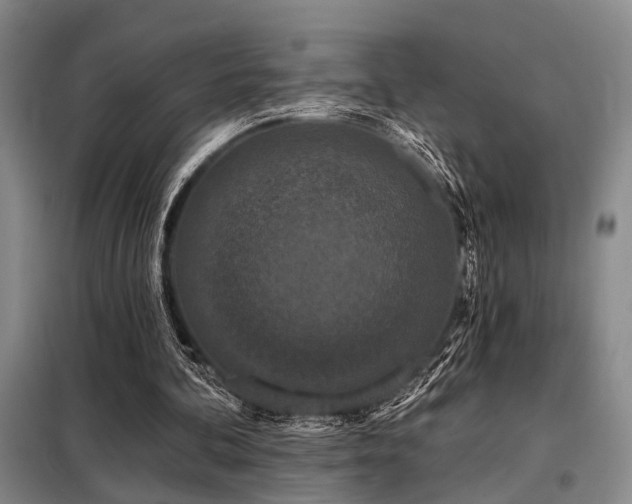 X0000098150292200804171619