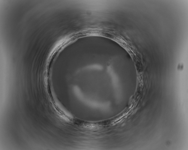 X0000098150293200804171619