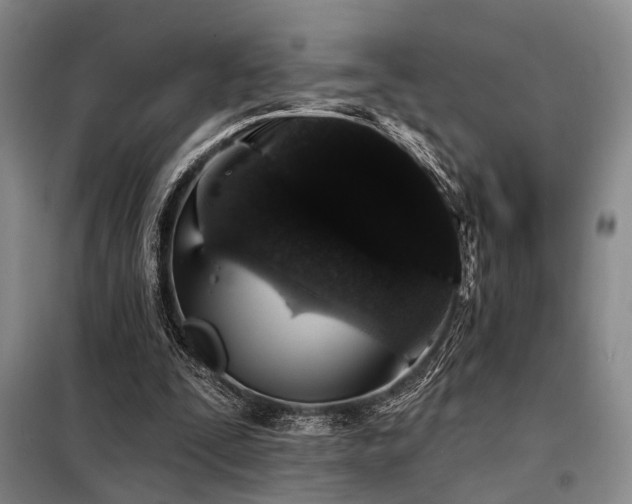 X0000098150295200804171619