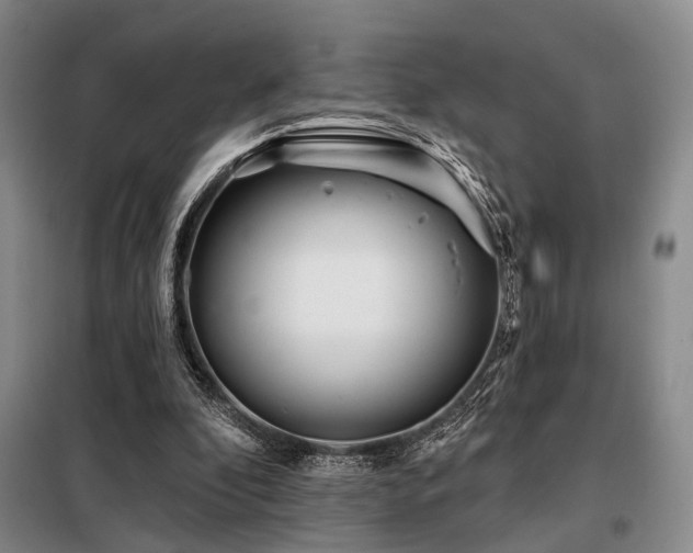 X0000098150296200804171619